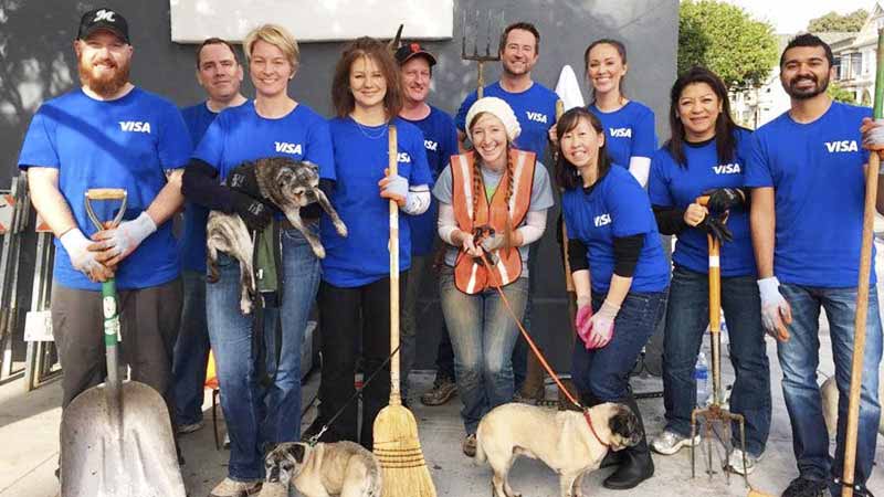 visa-volunteers-800x450